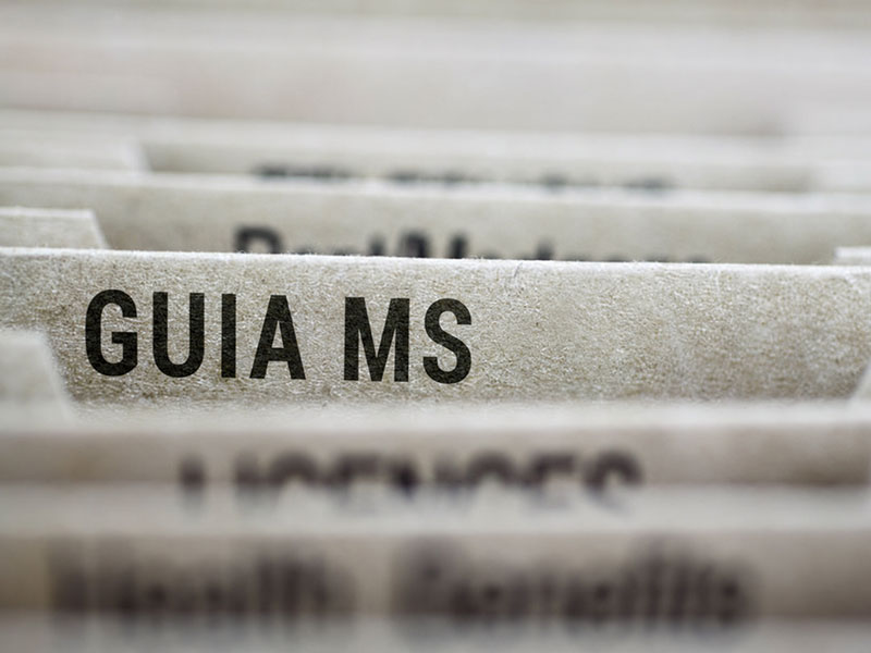 Ms Img Page Guia00